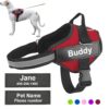 Personalized Dog Harness Reflective Adjustable Pet Harness Vest For small large Dog With Customized Patch Dog Walking Supplies